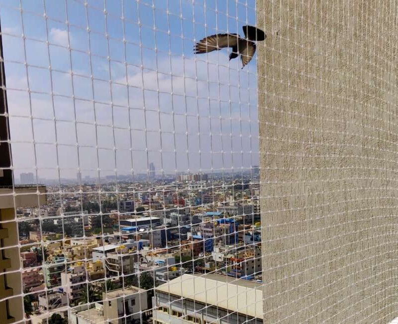 Pigeon Nets Installation Near Me in Pune